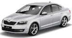 Skoda Fabia 1.4TSI 180 - СТРАТИЕВ АУТО