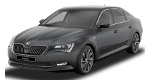 Skoda Fabia 1.4TSI 180 - СТРАТИЕВ АУТО