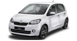 Skoda Fabia 1.4TSI 180 - СТРАТИЕВ АУТО
